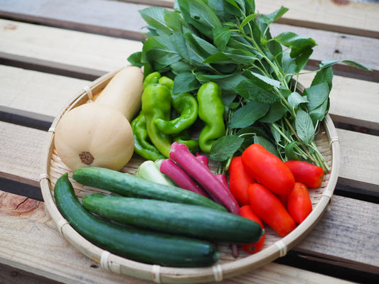 今週のお野菜(9月2週目お届け分)