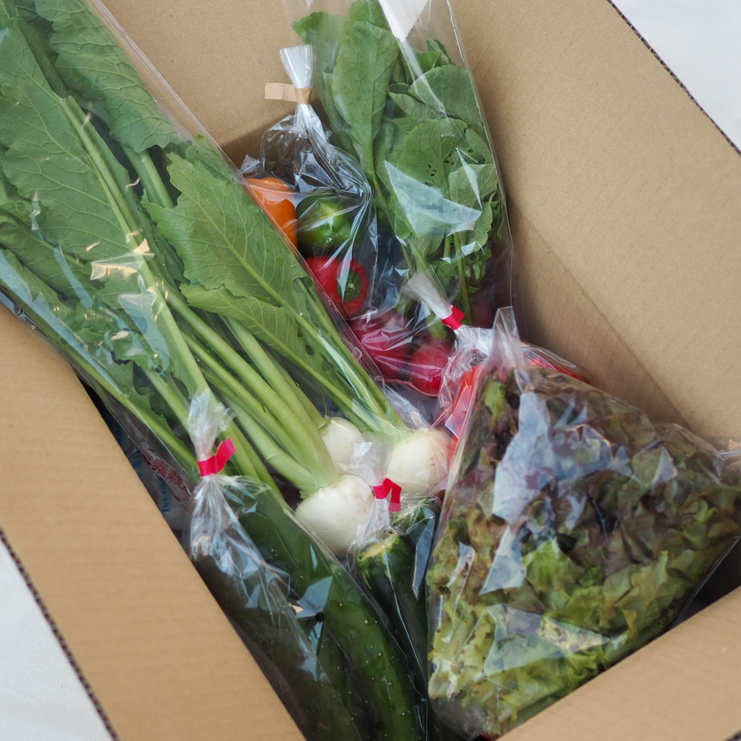 農サポセット〜フードロスをなくそう!〜