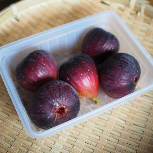羽曳野産朝採り完熟いちじく